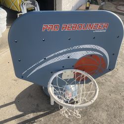 Pool master basketball hoop and ball