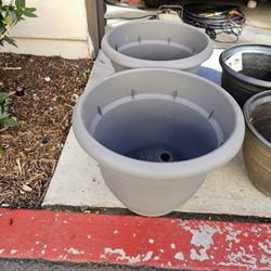 Flower POTS