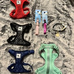 New XS Dog Collars and Harnesses