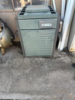 RayPak Digital Gas Pool Heater