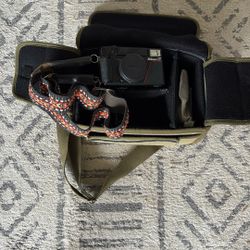 Nikon Film Camera Set