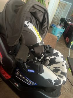 Britax cow print infant car seat online