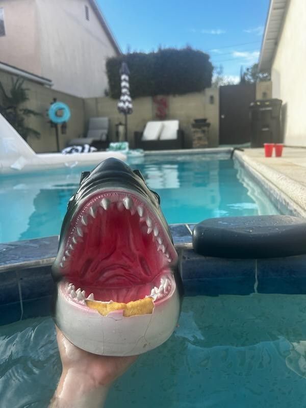 Shark Head Floating For The Swimming Pool or Ponds