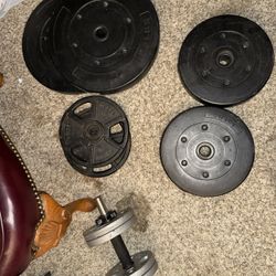 Home Gym Free Weights