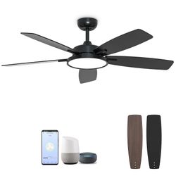 Smart ceiling Fan 