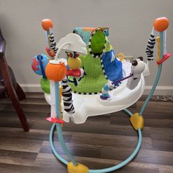 Baby Einstein Junper
