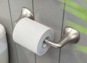 New brushed nickel toilet paper holder Ladera Pfister