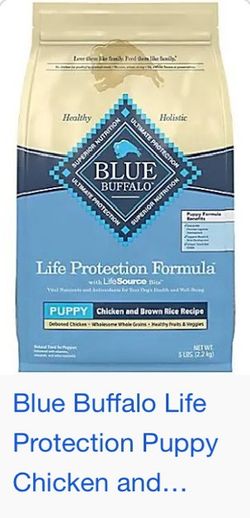 Doberman Puppys Food