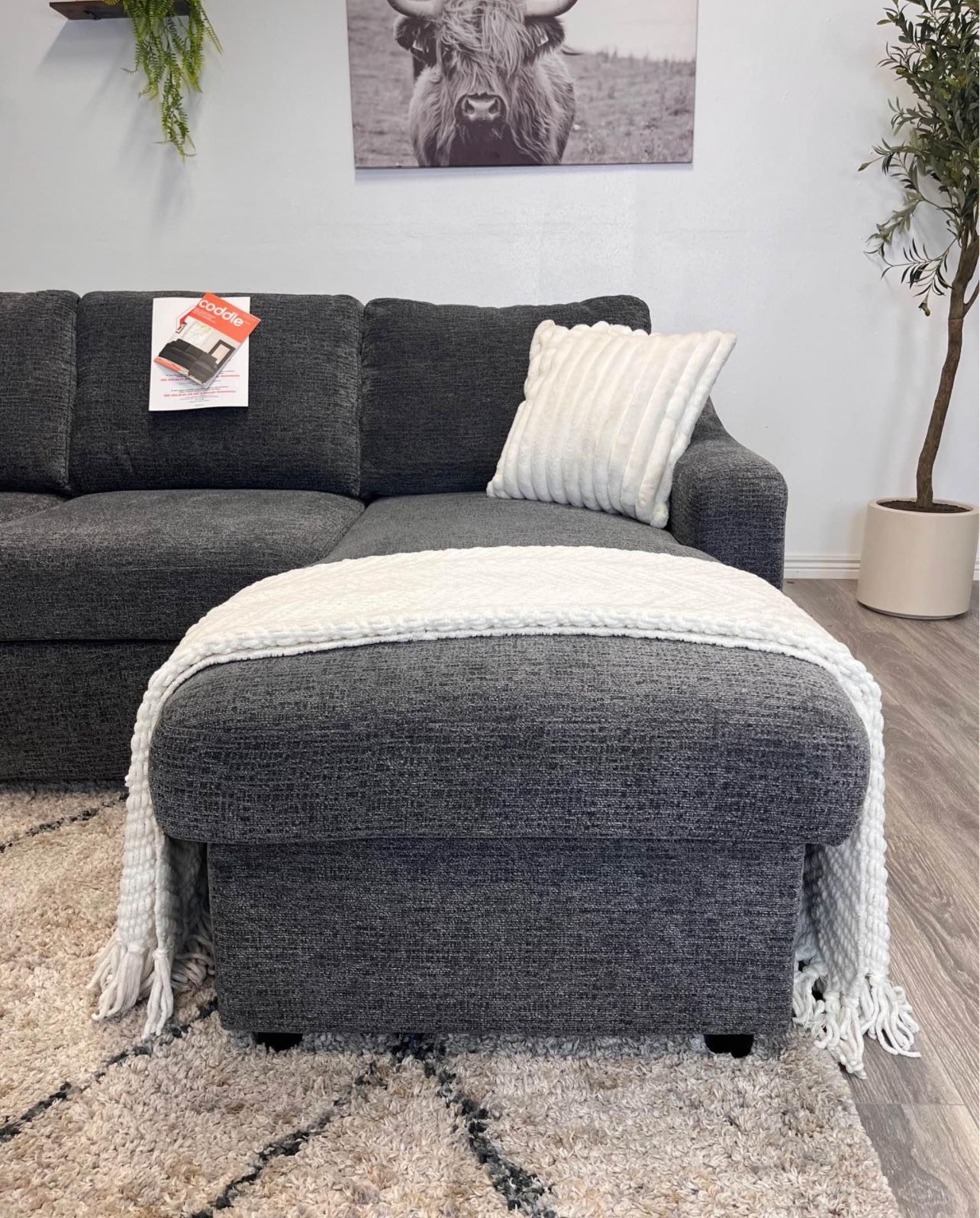 Gray Pull Out Bed Couch - Free Delivery