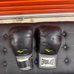 16oz Boxing Gloves - Everlast