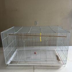 Bird Cage
