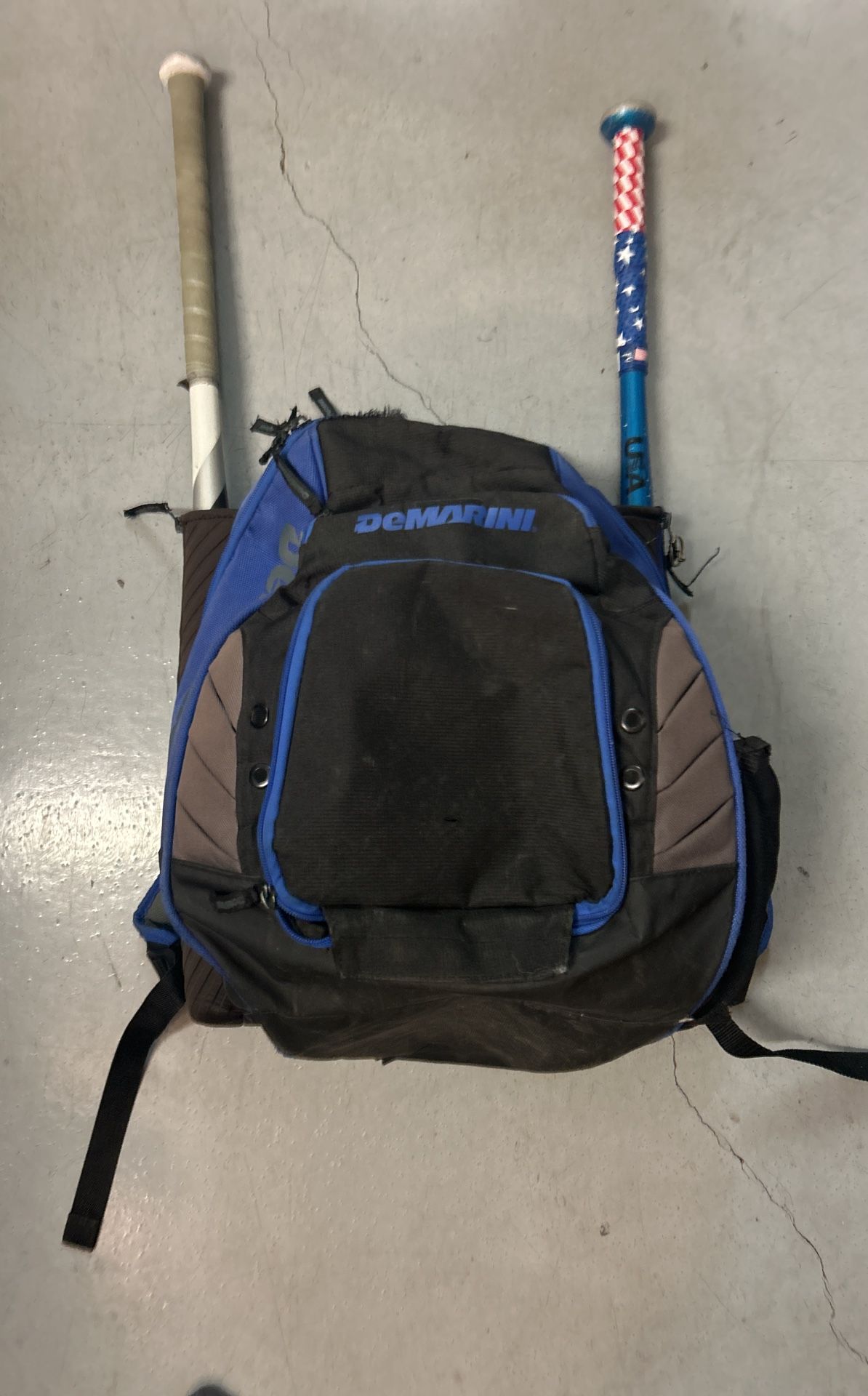 Baseball Bag, Bats, Gloves