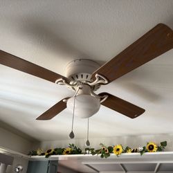 Ceiling Fan