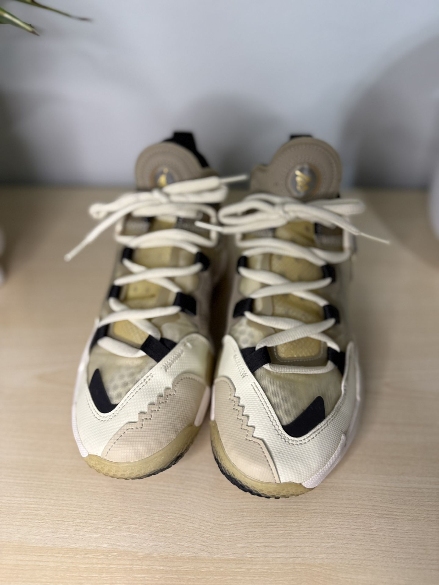 Jordan Why Not 0.5 Youth 5.5