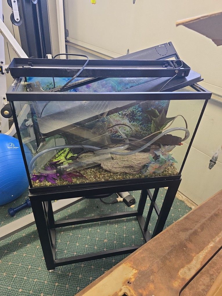 20gal Fish Tank