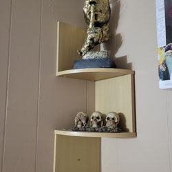 Shelf