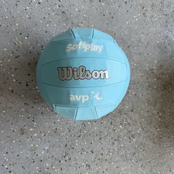 Wilson Volleyball