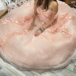 Quinceañera Dress brand New