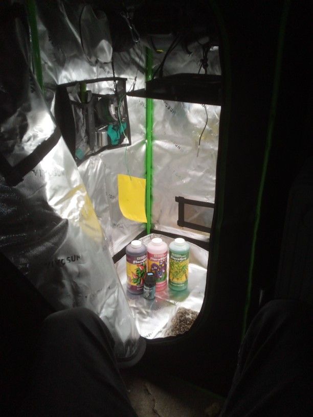 Grow Set Up Indoors