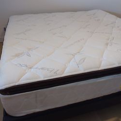 King Box Spring And Mattress