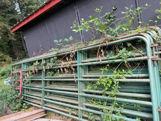 Gates/ panels/ farm/ animals