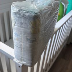 Pamper Swaddlers Size 6 Diapers