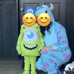 Adult & Child Monsters Inc Costume Set