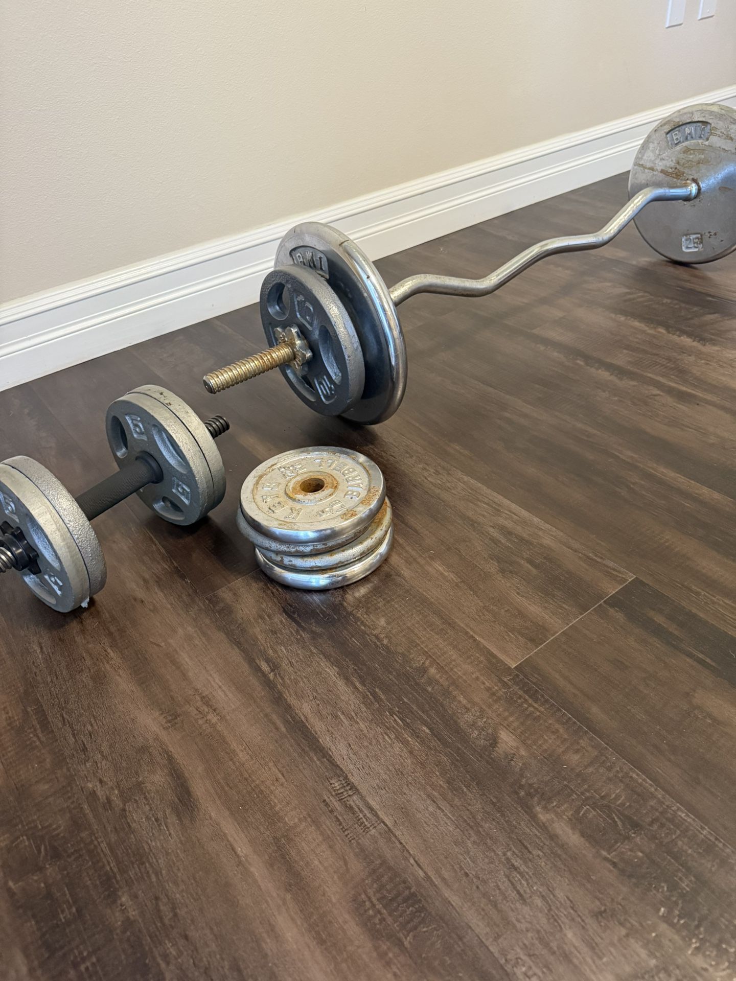 Weights Curl Bar
