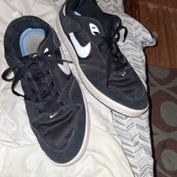 Nike Sb Alleyoop