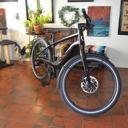 Serial 1 Rush CTY Speed E-Bike