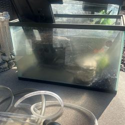 Aquariums For Sale
