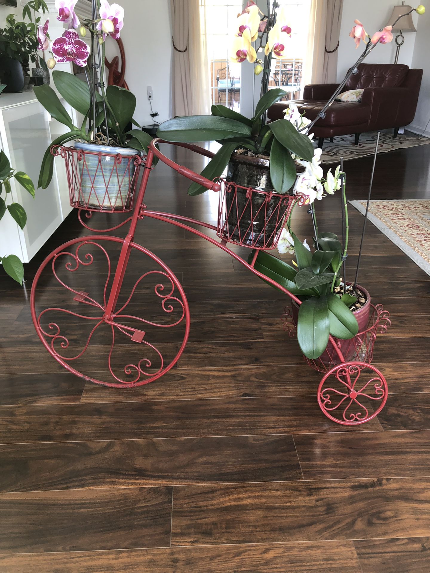 Bicycle stand plant