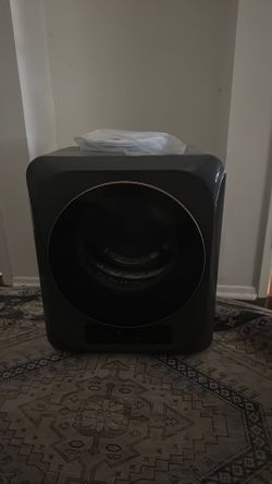Small electric drier