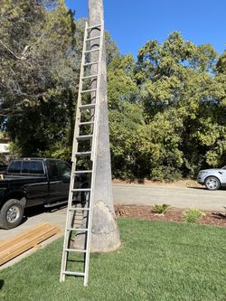 20-Step Extension Ladder