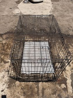 Dog Cage