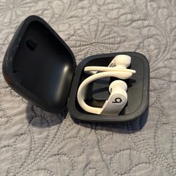 BOSE Powerbeats Pro In ear Noise Reducing Headphones 