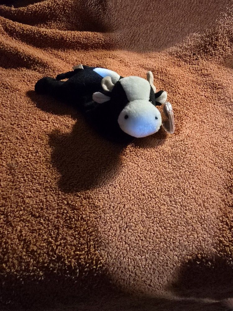 TY Toy