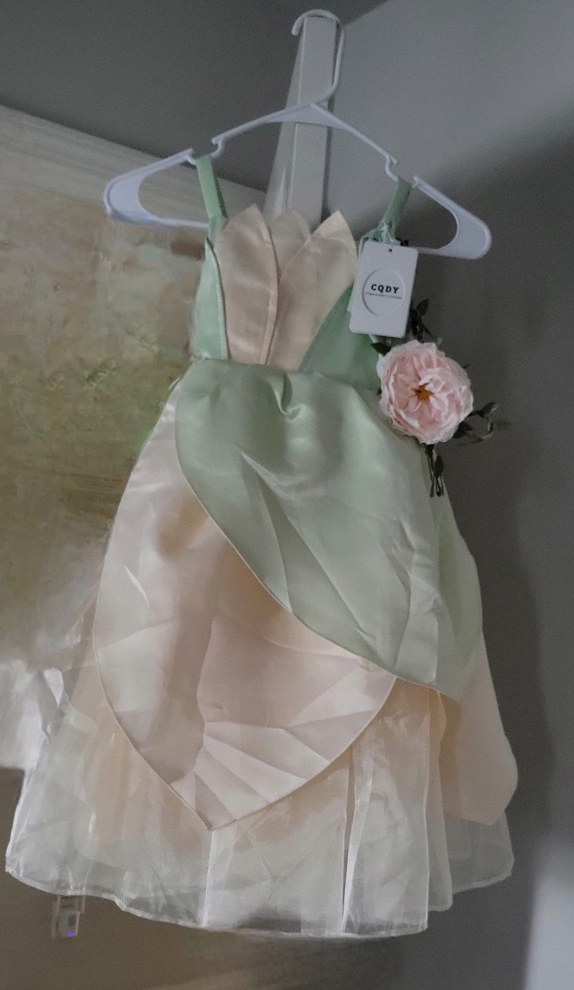 Beautiful lil girls dress