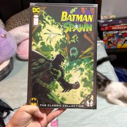 Batman Spawn Book