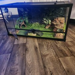Terrarium 