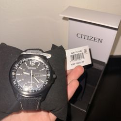 Citzen Watch AW0115-03E