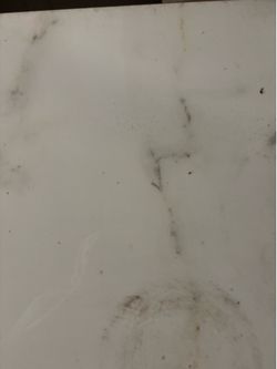 CREANZA white tiles with marble prints    Large size 24” by24”.  56 pcs.