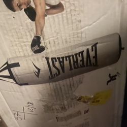 Punching Bag  (Everlasting)