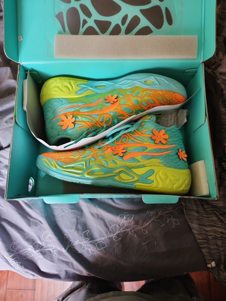 Scoobie Doo Sneakers .