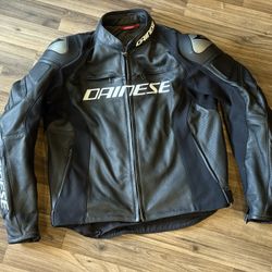 Dianese Leather Pants, Jacket and Back Protector