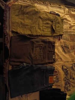 Six pairs of Levis by a pairs of jeans and camouflage Levi shorts