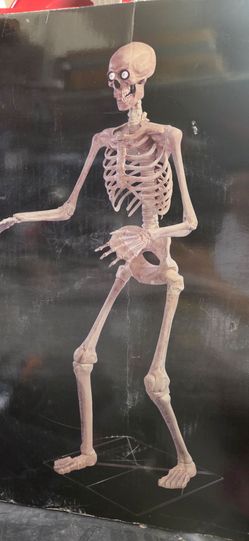 Skelly from Spirit Halloween