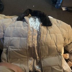 Winter Jacket