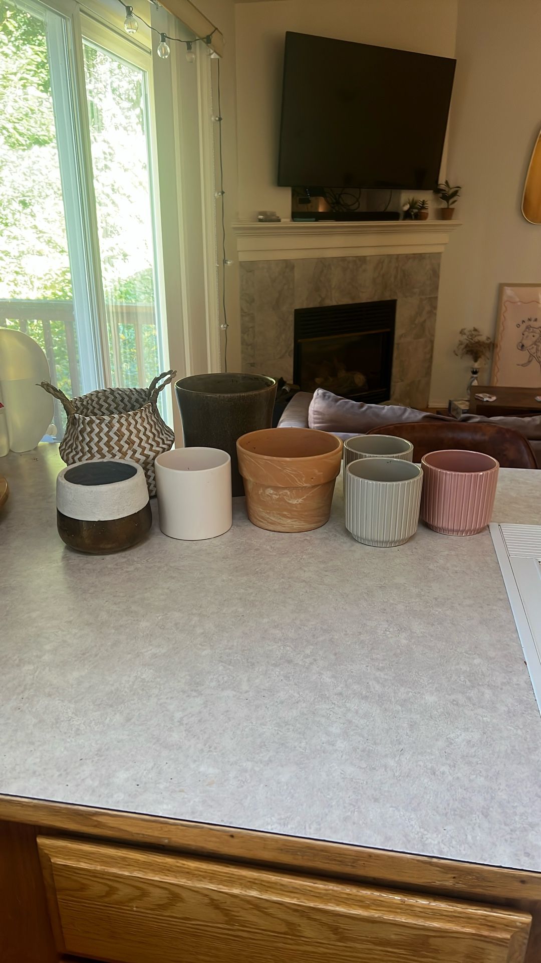 Variety of Plant Pots