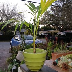 Green Resin Garden Pot